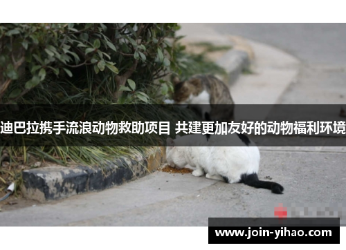 迪巴拉携手流浪动物救助项目 共建更加友好的动物福利环境