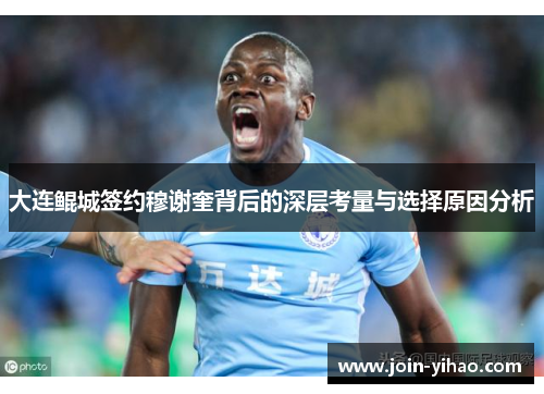 大连鲲城签约穆谢奎背后的深层考量与选择原因分析