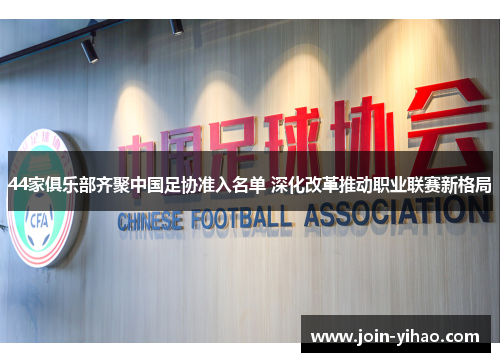 44家俱乐部齐聚中国足协准入名单 深化改革推动职业联赛新格局