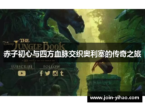 赤子初心与四方血脉交织奥利塞的传奇之旅